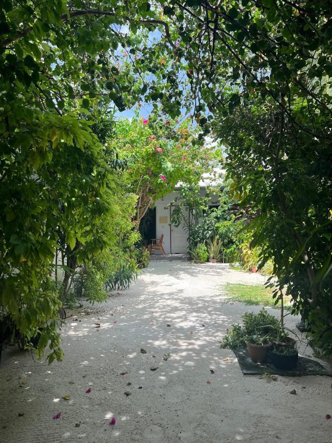 Lagoon Villa Maldives Thoddoo Exterior foto