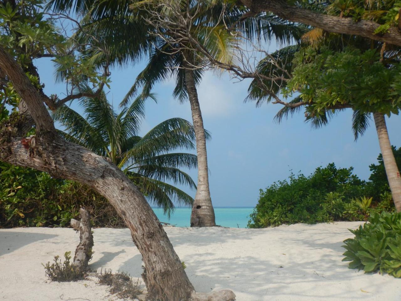 Lagoon Villa Maldives Thoddoo Exterior foto